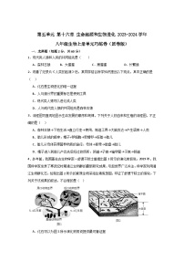 【期中单元测试卷】（苏教版）2023-2024学年八年级生物上册 第十六章 生命起源和生物进化 单元测试卷