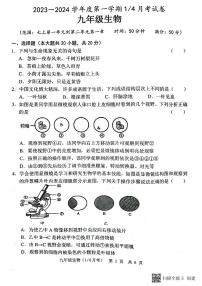 山东省菏泽市牡丹区王浩屯镇初级中学2023-2024学年九年级上学期10月月考生物试题