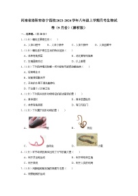 河南省洛阳市洛宁四校2023-2024学年八年级上学期9月份月考生物试卷