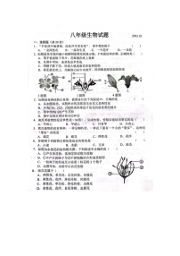 山东省菏泽经济技术开发区多校联考2023-2024学年八年级上学期10月月考生物试题