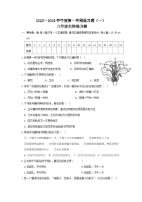 山东省枣庄市峄城区吴林街道中学2023-2024学年八年级上学期第一次月考生物试题