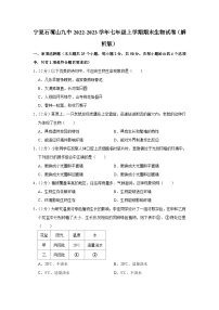 宁夏石嘴山九中2022-2023学年七年级上学期期末生物试卷