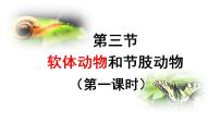 生物八年级上册第三节   软体动物和节肢动物教学课件ppt
