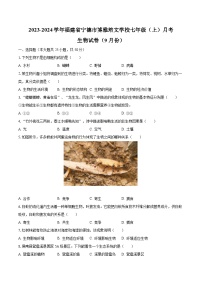 2023-2024学年福建省宁德市博雅培文学校七年级（上）月考生物试卷（9月份）（含解析）