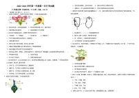 山东省武城县甲马营乡中学2023-2024学年八年级上学期第一次月考生物试题