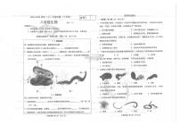 辽宁省大连市金州区2023-2024学年八年级上学期10月月考生物试卷