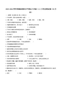 2023-2024学年河南省信阳市平桥区八年级（上）月考生物试卷（10月份）（含解析）