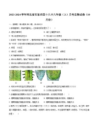 2023-2024学年河北省石家庄四十八中八年级（上）月考生物试卷（10月份）（含解析）