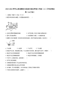 2023-2024学年山东省潍坊市高密市滨北学校八年级（上）月考生物试卷（10月份）（含解析）