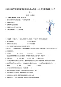 2023-2024学年湖南省娄底市双峰县八年级（上）月考生物试卷（10月份）（含解析）