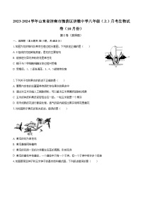 2023-2024学年山东省济南市槐荫区济微中学八年级（上）月考生物试卷（10月份）（含解析）