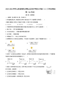 2023-2024学年山东省青岛市崂山区育才学校七年级（上）月考生物试卷（10月份）（含解析）