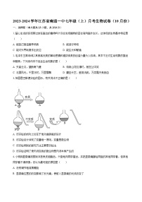 2023-2024学年江苏省南通一中七年级（上）月考生物试卷（10月份）（含解析）