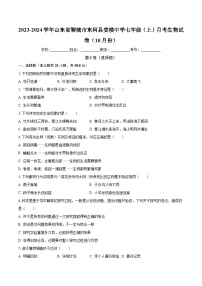 山东省聊城市东阿县姜楼中学2023-2024学年七年级上学期10月份月考生物学试卷