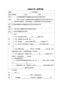 初中生物人教版 (新课标)七年级上册第三节 动物细胞学案及答案