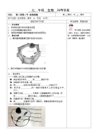 初中第三节 动物细胞学案