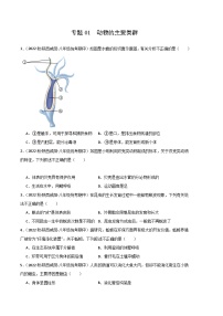 【期中真题】（人教版）2023-2024学年八年级生物上学期期中真题分类专题汇编 专题01 动物的主要类群-试卷.zip