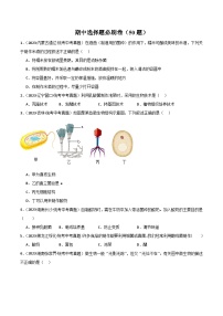 【期中真题】（人教版）2023-2024学年八年级生物上学期期中真题分类专题汇编-高频选择题  （原卷版）