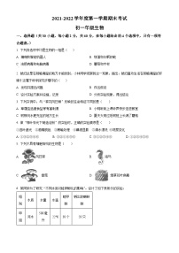 精品解析：广东省深圳市深圳中学11校2021-2022学年七年级上学期期末联考生物试题