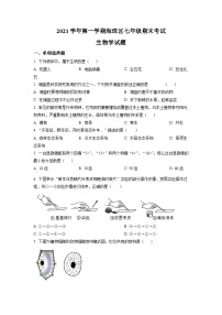 广东省广州市海珠区2021-2022学年七年级上学期期末生物试题（原卷版）