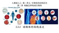 初中人教版 (新课标)第二节 动物体的结构层次备课ppt课件