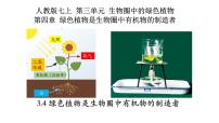 七年级上册第三单元 生物圈中的绿色植物第四章 绿色植物是生物圈中有机物的制造者备课ppt课件