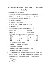 2023-2024学年江西省吉安市十校联考七年级（上）月考生物试卷（10月份）