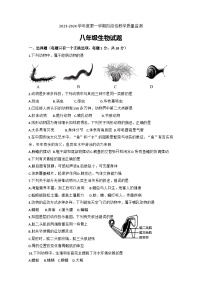 吉林省长春市九台区2023-2024学年八年级上学期阶段性教学质量监测生物试题（word版含答案）