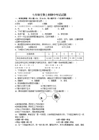 2023-2024学年甘肃省陇南市康县阳坝镇初级中学七年级（上）期中考试生物试卷（word版含答案）