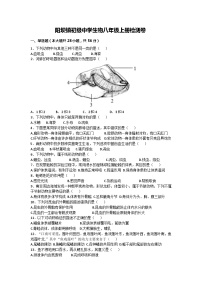 2023-2024学年甘肃省陇南市康县阳坝镇初级中学八年级（上）期中考试生物试卷（word版 含答案）