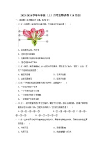 山东省滨州市阳信县第四实验中学2023-2024学年八年级上学期月考生物试卷（10月份）（含解析）