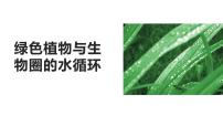 初中生物人教版 (新课标)七年级上册第三章 绿色植物与生物圈的水循环教案配套课件ppt