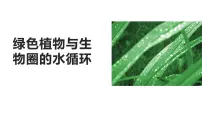 初中生物人教版 (新课标)七年级上册第三章 绿色植物与生物圈的水循环教案配套课件ppt