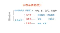 初中生物第七单元 生物和环境是统一体第十九章 生态系统第二节 生态系统中的能量流动和物质循环课前预习课件ppt