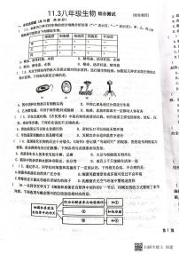 湖北省十堰市实验中学2023-2024学年八年级上学期11月月考生物试题