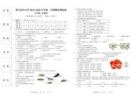 新疆和田地区墨玉县2023-2024学年七年级上学期期中生物试题