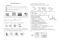 湖北省襄阳襄州区2023-2024学年七年级上学期生物期中试卷（含答案）