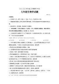 山东省泰安市肥城市2023-2024学年七年级上学期期中考试生物试题(word版含答案）