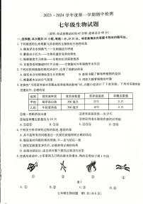 江苏省徐州市丰县2023-2024学年七年级上学期期中学情调研生物学试卷