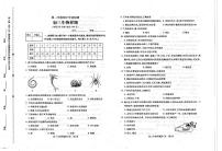 山东省泰安市泰山区（五四制）2023-2024学年八年级上学期期中考试生物试题