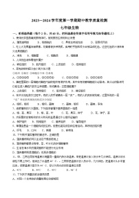 河北省石家庄市栾城区2023-2024学年七年级上学期期中生物试题