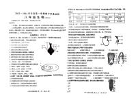 山东省济南市槐荫区2023-2024学年八年级上学期期中生物试题