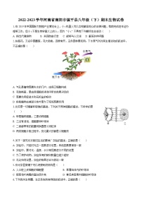 2022-2023学年河南省南阳市镇平县八年级（下）期末生物试卷（含答案解析）