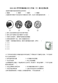 2022-2023学年河南省新乡市八年级（下）期末生物试卷（含答案解析）