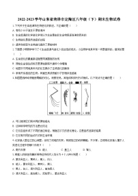 2022-2023学年山东省菏泽市定陶区八年级（下）期末生物试卷（含答案解析）