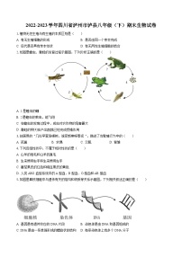 2022-2023学年四川省泸州市泸县八年级（下）期末生物试卷（含答案解析）