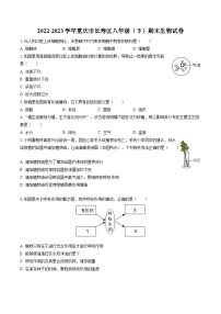 2022-2023学年重庆市长寿区八年级（下）期末生物试卷（含答案解析）