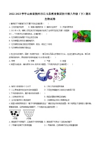 2022-2023学年山西省朔州市右玉县教育集团初中部八年级（下）期末生物试卷（含答案解析）