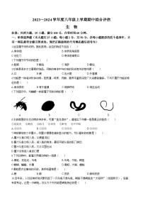 河北省邢台英华教育集团2023-2024学年八年级上学期期中生物试题