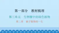 2024年中考生物一轮复习 第三单元第二章 被子植物的一生课件